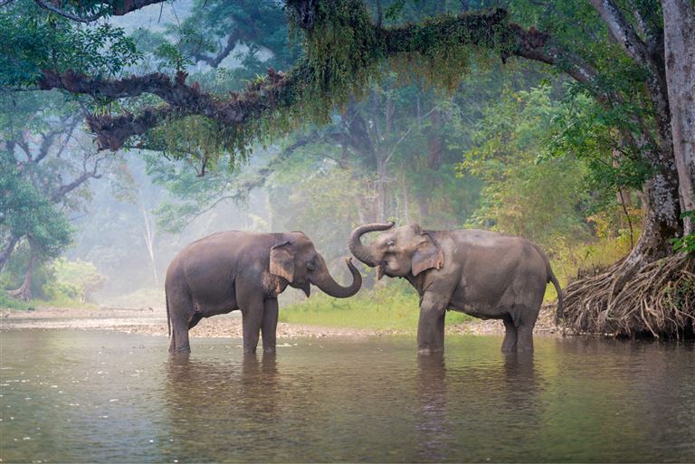 Nord-Thailand mit Goldenem Dreieck  ©teddybearpicnic/istock